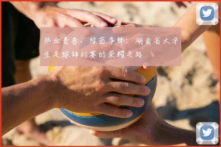 热血青春，绿茵争锋：湖南省大学生足球锦标赛的荣耀之路