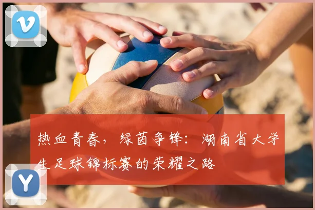 热血青春，绿茵争锋：湖南省大学生足球锦标赛的荣耀之路